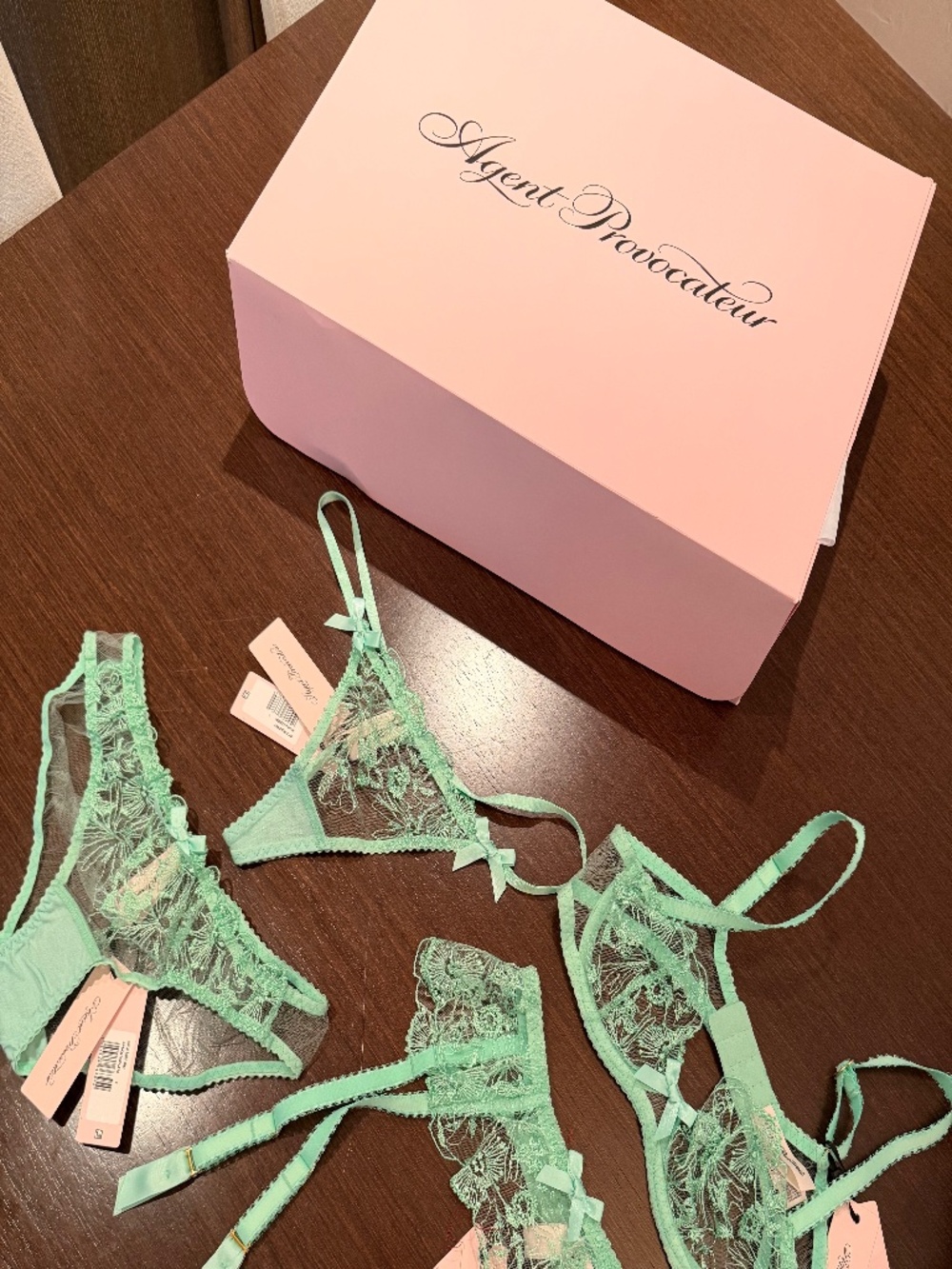 TAG ON Agent Provocateur Lingerie Set (Mint Green)